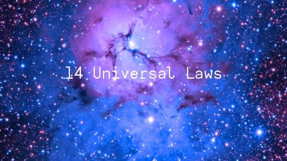The 14 Universal Law That Govern Our Success Complete Guide Our Subconscious Mind